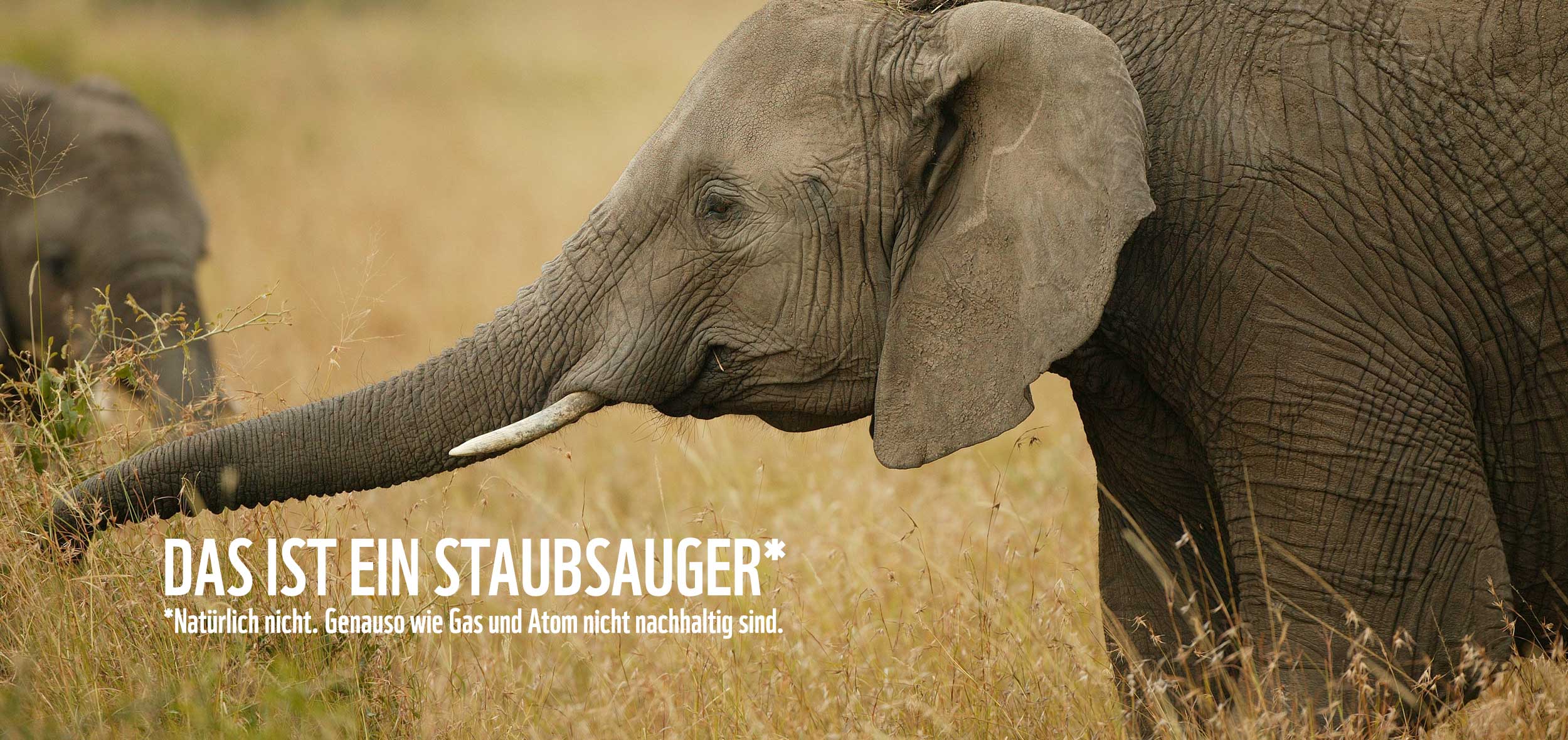 Elefant – Das ist ein Staubsauger* - *Natürlich nicht. Genauso wie Gas und Atom nicht nachhaltig sind. © Martin Harvey / WWF