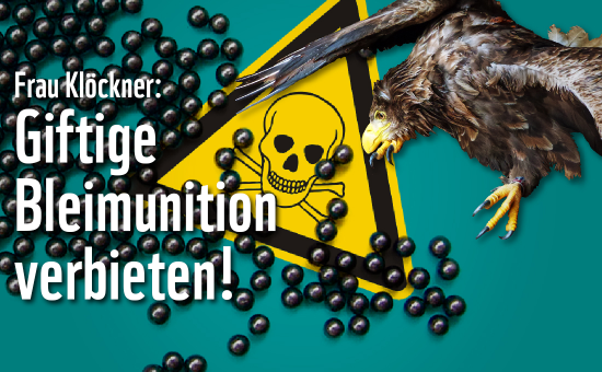 Aktionsgrafik des Eil-Appells für ein Verbot von bleifreier Munition. Collage aus Seeadler, Schrotkugeln und dem Warnzeichen für "Giftig". Quelle: WWF Deutschland