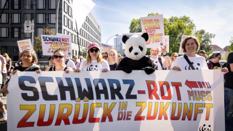 Appell Schwarz-Rot muss zurück in die Zukunft!