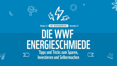WWF-Energieschmiede: Tipps und Tricks zum Investieren, Sparen und Selbermachen